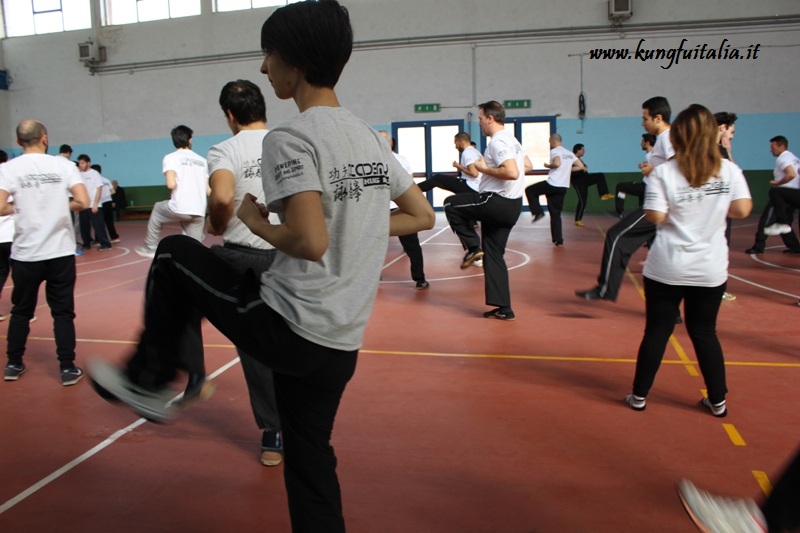 Kung Fu Academy di Sifu Mezzone Scuola di Wing Chun Difesa Personale Ving Tjun Tsun Caserta Frosinone San Severo Foggia Corato (1)